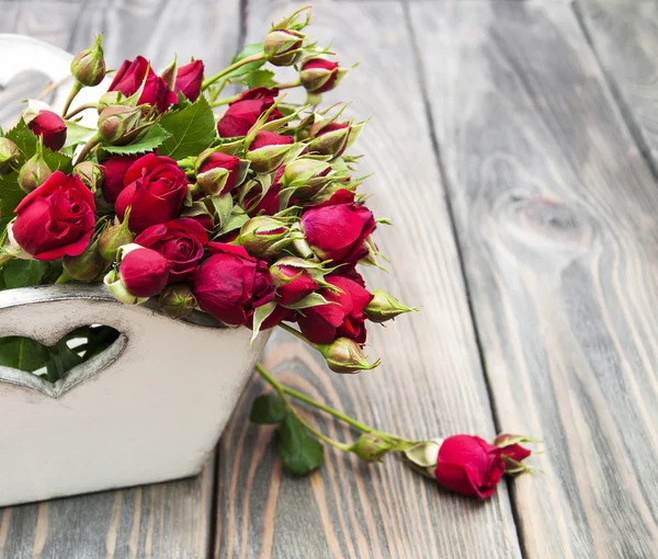 Red roses — Stock Photo, Image