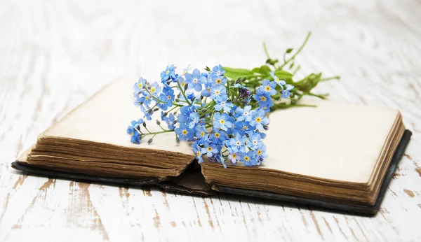 Fiori dimenticati di me e vecchio libro — Foto Stock