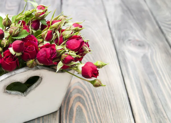 Red roses — Stock Photo, Image