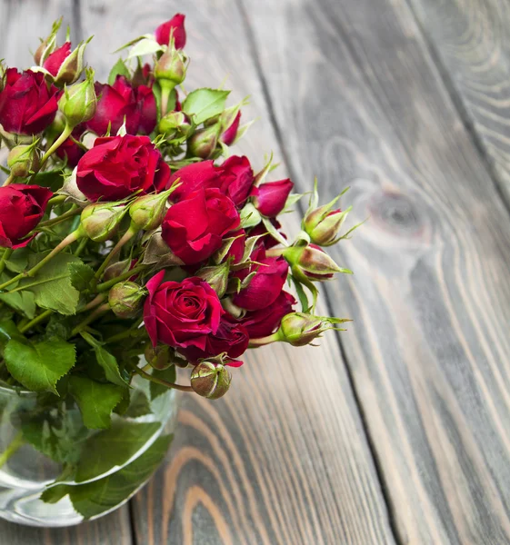 Rosas vermelhas em vaso — Fotografia de Stock