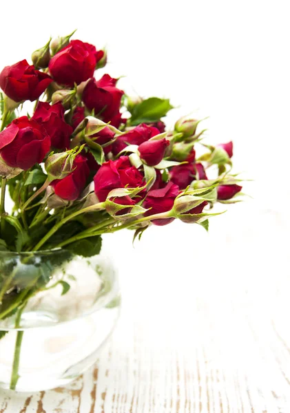 Rote Rosen in der Vase — Stockfoto