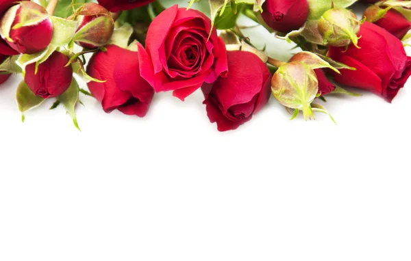 Red roses — Stock Photo, Image