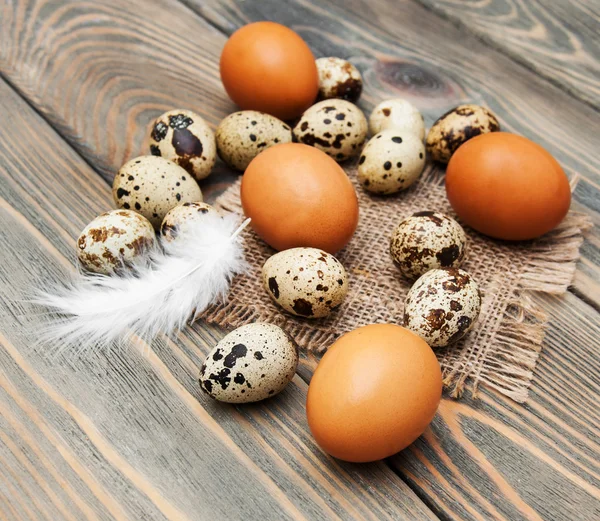 Different types of eggs — Stock Photo, Image