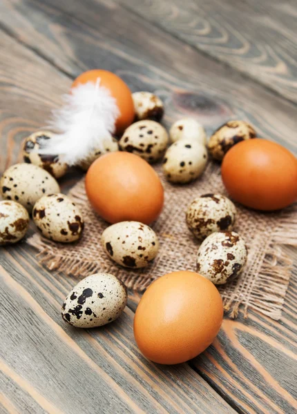 Olika typer av ägg — Stockfoto