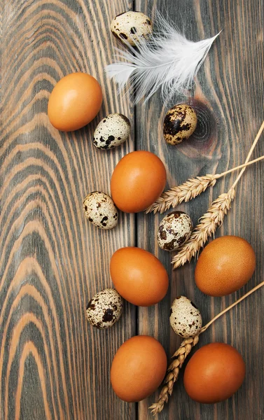 Different types of eggs — Stock Photo, Image