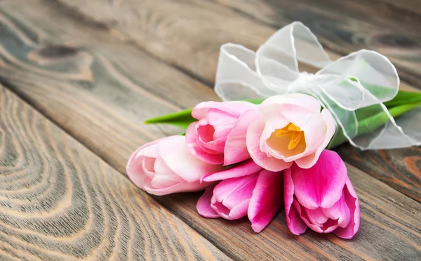 Tulipani rosa — Foto Stock