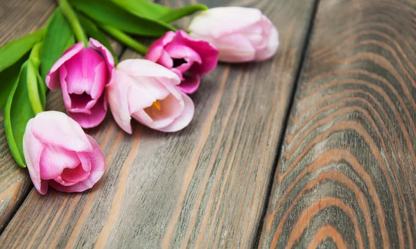 Border with pink tulips — Stock Photo, Image