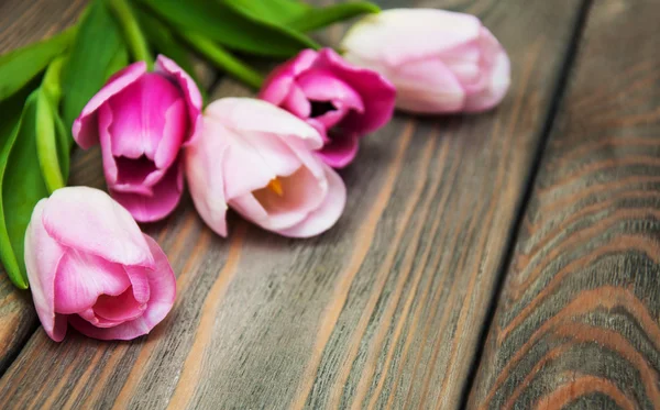 Hraničí s růžové tulipány — Stock fotografie