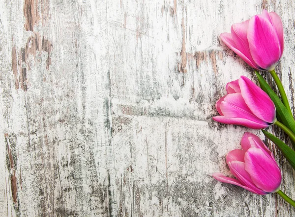 Grens met roze tulpen — Stockfoto