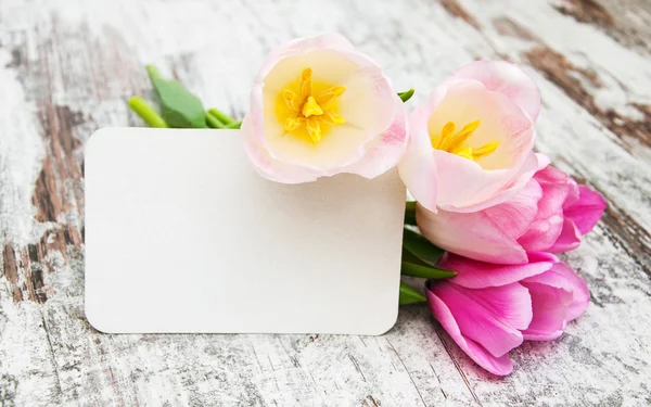 Tulipani con una carta — Foto Stock