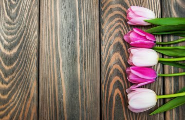 Pembe Lale ile sınır