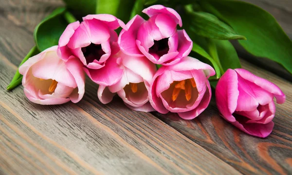Grens met roze tulpen — Stockfoto
