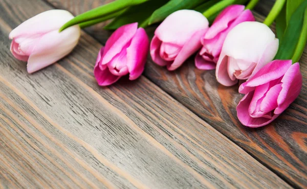 Grens met roze tulpen — Stockfoto