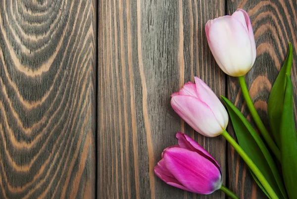 Frontiera con tulipani rosa — Foto Stock