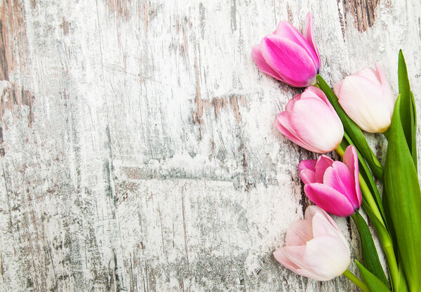 Граница с розовыми тюльпанами
