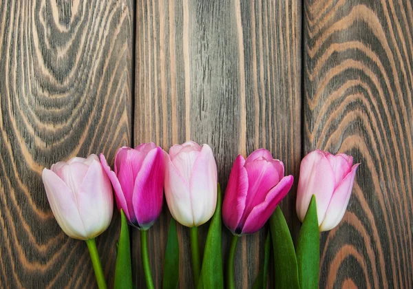 Frontiera con tulipani rosa — Foto Stock