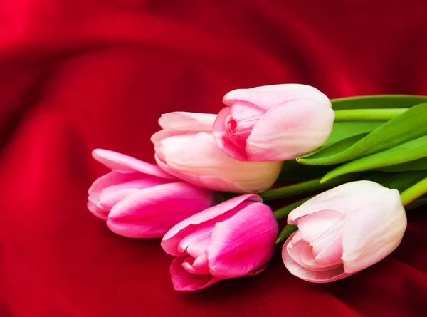 Tulips on a red silk — Stock Photo, Image