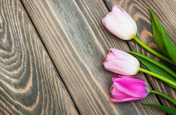 Border with pink tulips — Stock Photo, Image