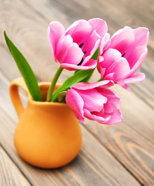Pink colored tulip flowers — Stock Photo, Image