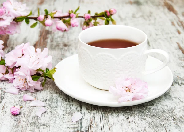 Cup of tea and sakura blossom — Stock Photo, Image