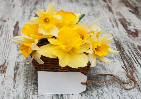 Το Daffodils σε καλάθι — Φωτογραφία Αρχείου