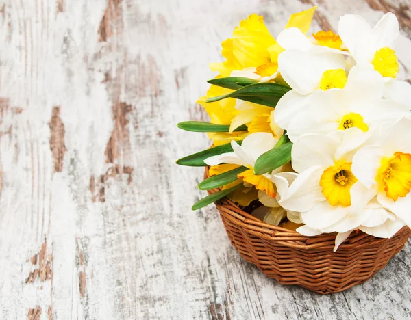 Basket with daffodils — Stock Photo, Image
