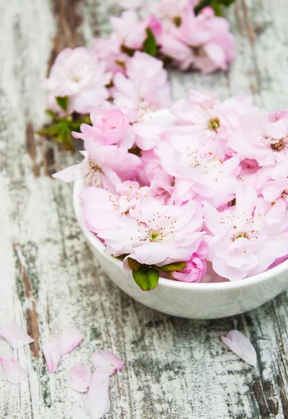 Flowers of sakura blossoms in a bowl of water — Stock Photo, Image