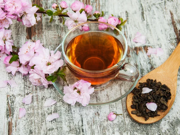 Šálek čaje a sakura květ — Stock fotografie