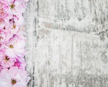 Sakura çiçeği eski ahşap arka plan üzerinde