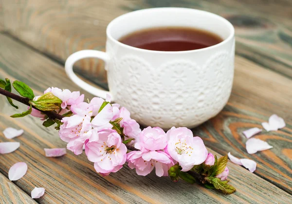 Šálek čaje a sakura květ — Stock fotografie