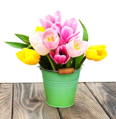 Renkli Lale ile kova 