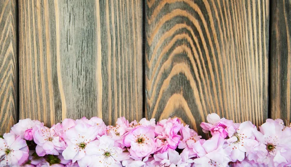 Sakura florece sobre un viejo fondo de madera — Foto de Stock