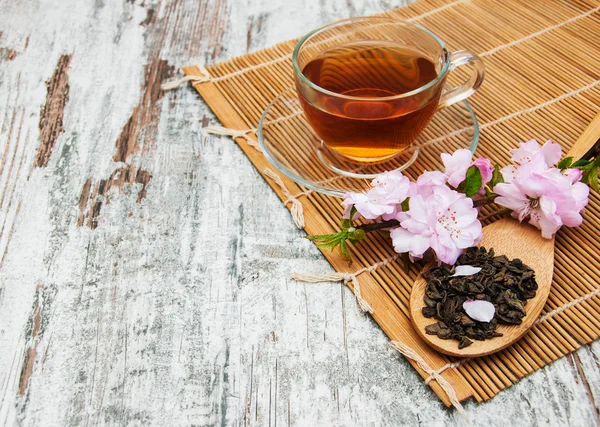 Чашка чаю і сакури цвітуть — стокове фото