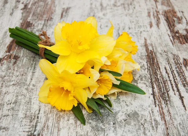 Daffodils amarelos — Fotografia de Stock