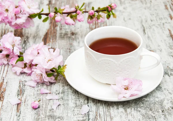 Taza de té y flor de sakura — Foto de Stock