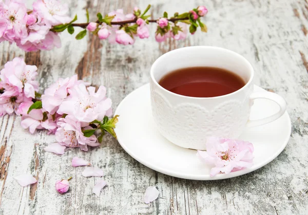 Šálek čaje a sakura květ — Stock fotografie