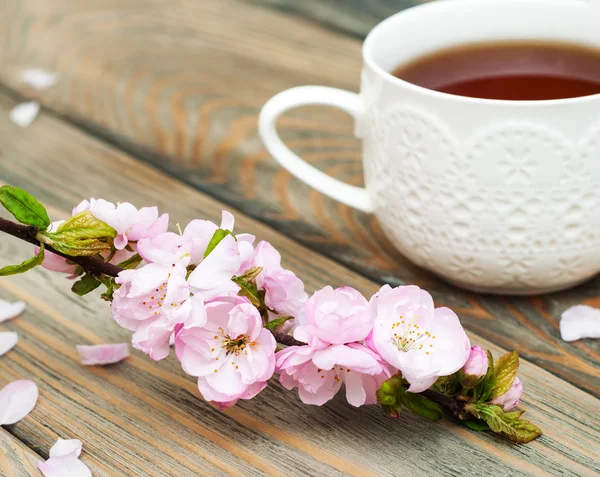 一杯の紅茶と桜の花の — ストック写真