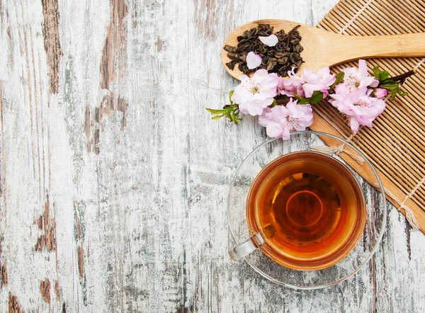 Tasse Tee und Sakura-Blüte — Stockfoto