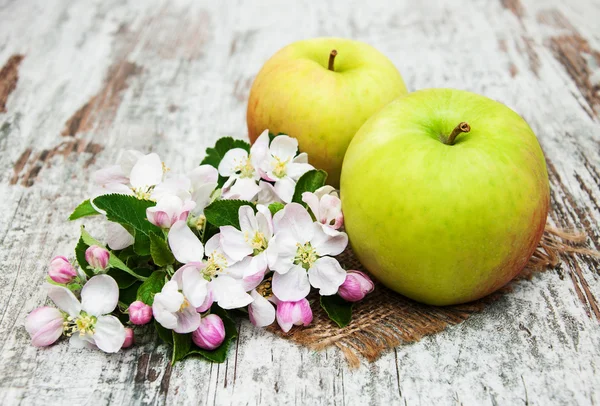 Manzanas y flores de manzanos — Foto de Stock