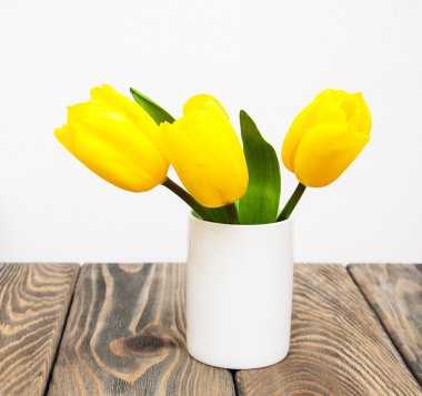 Sarı renkli Lale çiçek