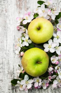 elma ve elma ağacı çiçekleri