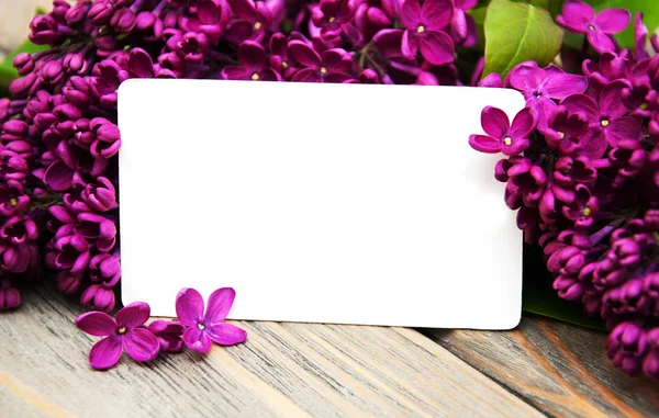 Lilac flowers with empty card — Stock Photo, Image