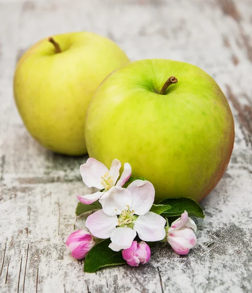 Äpfel und Apfelbaumblüten — Stockfoto