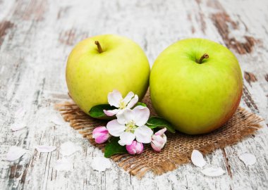 elma ve elma ağacı çiçekleri