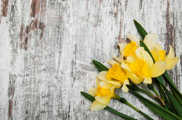 Daffodils em um fundo de madeira — Fotografia de Stock