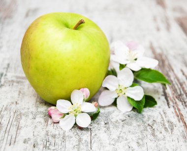 elma ve elma ağacının çiçekleri