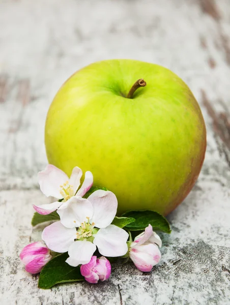 Apple a jabloňové květy stromu — Stock fotografie