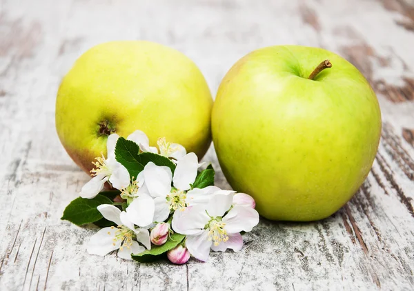 Apples  and apple tree blossoms — Stock Photo, Image