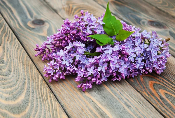 Lilac flowers — Stock Photo, Image