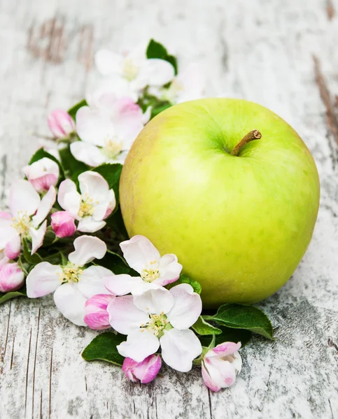 Flores de manzanos y manzanos — Foto de Stock